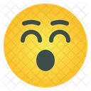 Emoticono de sonrisa  Icono