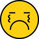 Emotion Cry Face Icon