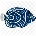Emperor Angelfish Sea Creature Animal Icon