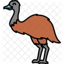 Emu Ostrich Animal Icon