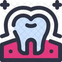 Enamel  Icon