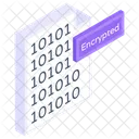 Encrypted Data  Icon