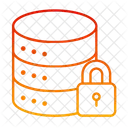 Encrypted Data Security Protection Icon