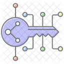 Encryption Key Lineal Color Icon Icon