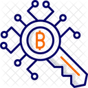 Encryption Key  Icon