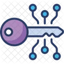 Encryption Key  Icon