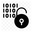Encryption Unlocked  Icon