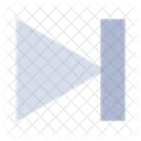 End Arrow  Icon