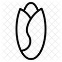 Endibia Icono