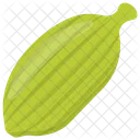 Endive Chicory Vegetable Icon