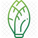 Endive Vegetable Chicory Icon