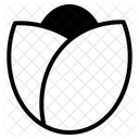 Endive Icon