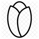 Endive Icon