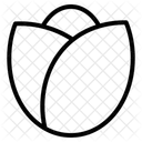 Endive Icon