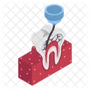 Teeth Tooth Root Canal Icon
