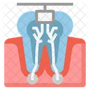 Endodontie  Symbol