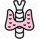 Endokrinologie Korperorgane Hormonsystem Symbol