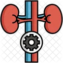 Endokrinologie Endokrine Reproduktion Symbol