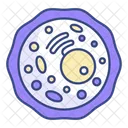 Endoplasmic Reticulum Biology Human Cell Icon