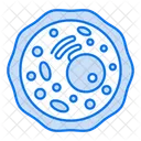 Endoplasmic Reticulum Biology Human Cell Icon