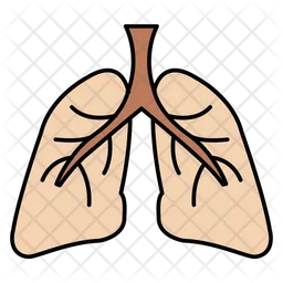 Enfermedad de los pulmones  Icono