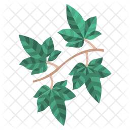 English Ivy Leaf  Icon