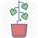 English Ivy Plant  Icon