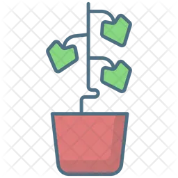 English Ivy Plant  Icon