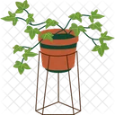 English Ivy  Icon