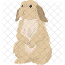 English Lop Rabbit  Icon
