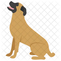 English Mastiff  Icon