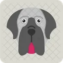 English Mastiff Dog Portrait アイコン