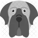 English Mastiff Dog Portrait アイコン