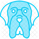 English Mastiff Dog Portrait Icon