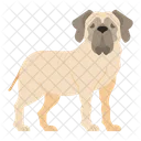 English Mastiff Dog Puppy Icon