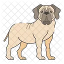 English Mastiff Dog Puppy Icon
