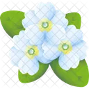 Primrose Flower Floral Icon