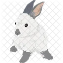 English Spot Rabbit  Icon