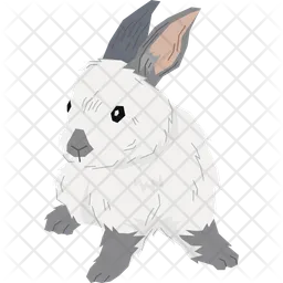 English Spot Rabbit  Icon