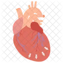 Enlarged Heart Cardiomegaly Dilated Heart Icon