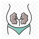 Body Renal Enlarged アイコン