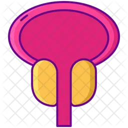 Enlarged Prostate  Icon