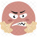 Ira Facial Reaccion Icono