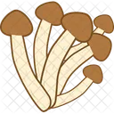 Enoki Mushroom  Icon