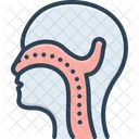 Ent Larynx Nose Icon