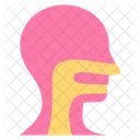 Ent Specialist Icon