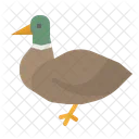 Ente Tier Tiere Symbol