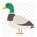 Ente  Symbol