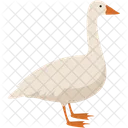 Ente  Symbol