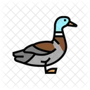 Ente  Symbol